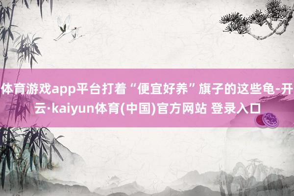 体育游戏app平台打着“便宜好养”旗子的这些龟-开云·kaiyun体育(中国)官方网站 登录入口